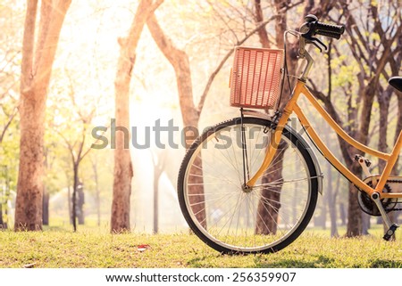 beautiful landscape image with Bicycle at park