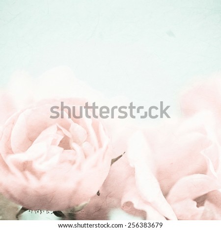 sweet color roses in soft and blur style on mulberry paper texture