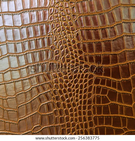 crocodile texture - design leather closeup details