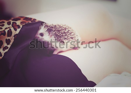 white young woman cuddling with her hedgehog