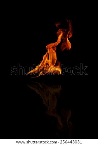 Fire flames on a black background 