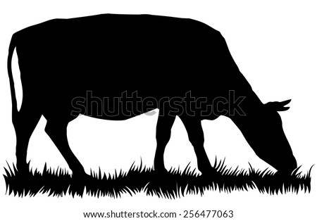 Silhouette of cow eating grass - vector illustration