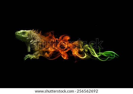 beautiful image of a lizard.. animal kingdom. wildlife picture. great  tattoo.
amazing color. green and gold in a dark background.