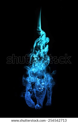 beautiful image of a black panther.. animal kingdom. . wildlife picture. great  tattoo.
predator. amazing color effect. blue and light blue overlay in a dark background, zoo