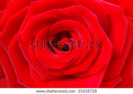Red rose with heart symbol in center.
