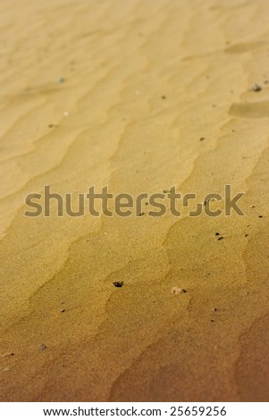A photo of the warm texture of a desert.