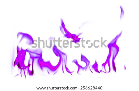 Fire purple and flames on a white background