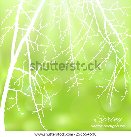 Spring twig tree on a green background. Spring holiday card with place for text. Stylish fashion background
