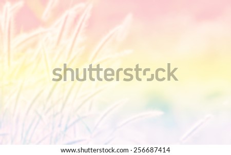 Blurred of  grass flower soft blur for background with pastel vintage retro style.