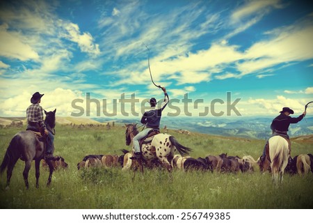 Three cowboys drive herd of horses , toning, vignetting