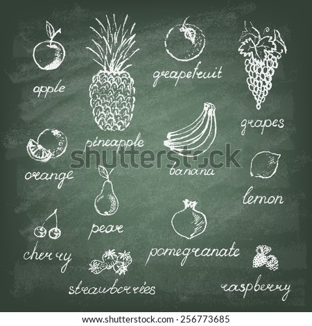 Set of fruits on the green blackboard. Hand drawn elements. Vector illustration.