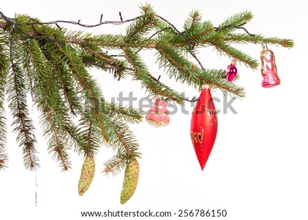 Christmas decoration isolated on the white background Bare branch of Christmas fir tree