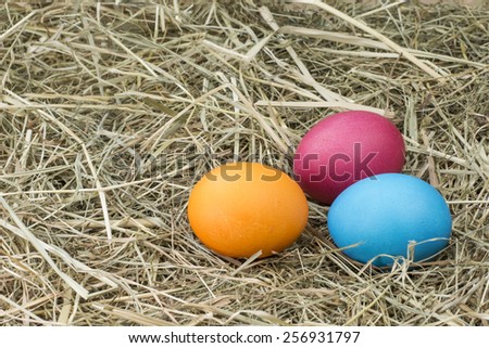 Three chicken egg in hay - pink, orange and blue. Symbol of life and Easter.