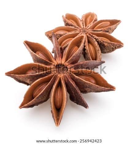 Star anise spice fruits and seeds isolated on white background closeup Royalty-Free Stock Photo #256942423