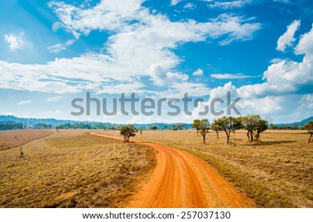 Road of savanna Field in summer season.