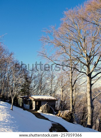 Winter mountain landscape with a rural hut and bare trees,  Italian Alps.