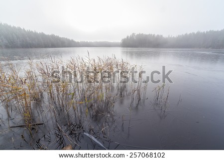 Autumn landscape. The frozen lake, the first frost