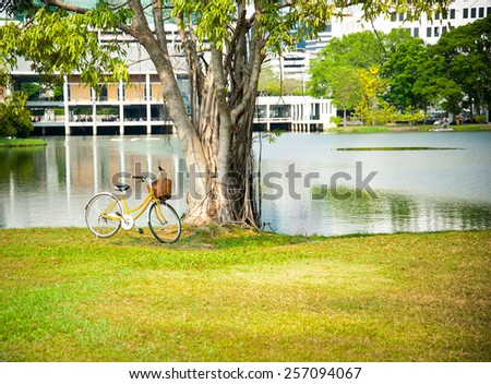 Park at sunny day with bicycle 
