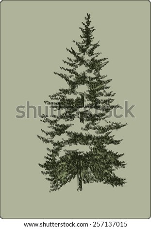 Vintage Christmas tree, hand-drawing. Vector illustration.