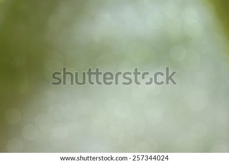 blurred of lights bokeh color background