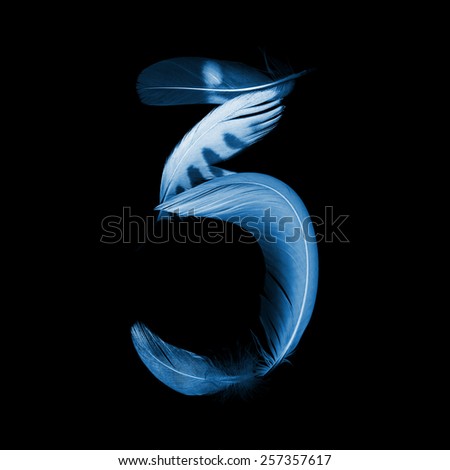 number zero "3" from pen feathers of birds, x-ray effect