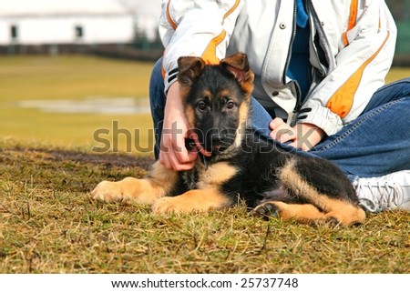Girl playing with a german sheppard puppy.