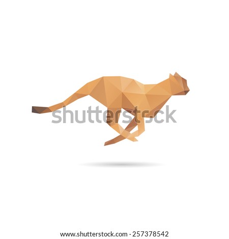 Cheetah abstract isolated on a white backgrounds, vector illustration 