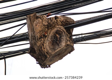 Timber on the power cable