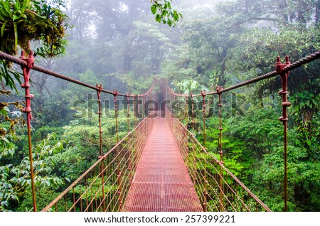 Bridge in Rainforest - Costa Rica - Monteverde Royalty-Free Stock Photo #257399221