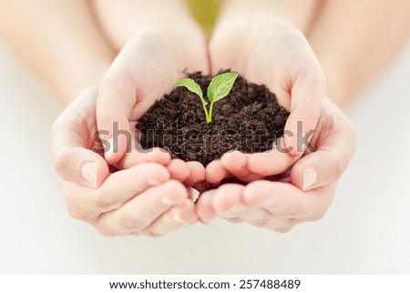 people, charity, family and ecology concept - close up of child and parent cupped hands holding soil with green sprout at home Royalty-Free Stock Photo #257488489