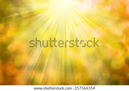 Sunny abstract autumn nature background, selective focus