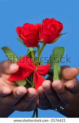 Two valentine rose, open hands