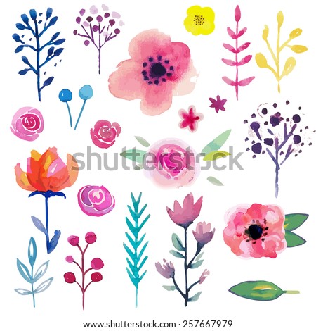 Hand Painted Watercolor Flower. Vector illustration.