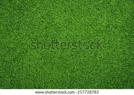 Top view of Artificial Grass Royalty-Free Stock Photo #257728783