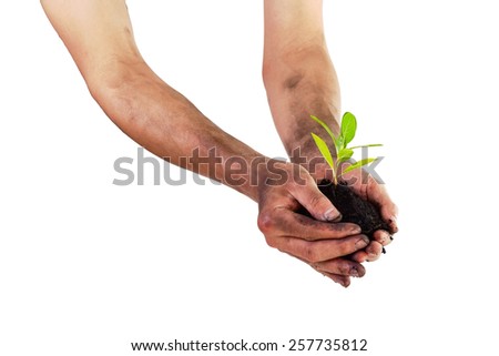 Hands holding green small plant (Business growth and new life concept) focused on  plant