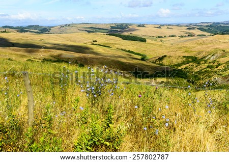 Crete senesi characteristic landscape in province of Siena (Tuscany Italy) at summer.