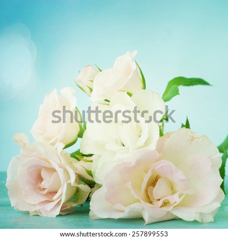 Provence style roses