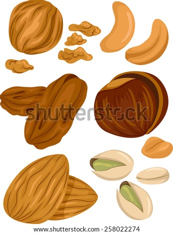 Illustration of Different Types of Nuts With a Few Cracked Open