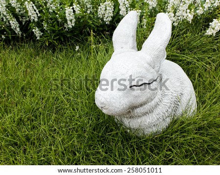 Baby Rabbit in green grass