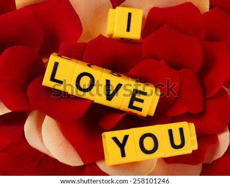 Words I Love You formed from cubes on  petals of roses background