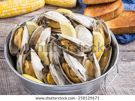 Bucket of steamed clams Royalty-Free Stock Photo #258129671