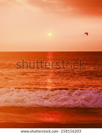 Beautiful sunrise on Sandy Hook Beach, New Jersey, USA. Scenic view over Atlantic ocean, sun, horizon and running waves, peaceful, lovely and dramatic. A bird flying on sky. Vintage filtered look.

