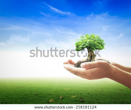 Go green concept: Human hands holding big tree over blue sky and grass background