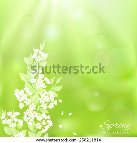Beautiful hand drawn vector illustration with sakura flowers.  Stylish spring background with a place for text, good for cards, invitations 