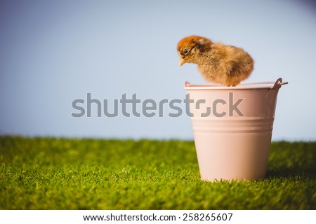 Stuffed chick in pink bucket on green grass