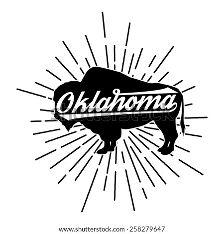 Vintage t-shirt American Bison state Oklahoma 