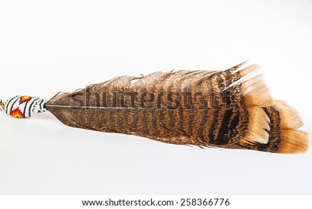 Turkey feathers with beads in Native American Pattern.  Turkey feathers were used as clothing and head decoration primarily by North Eastern tribes.