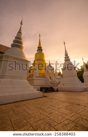 Pagoda white and gold in the evening at Suan Dok Temple. Chiang Mai, Thailand