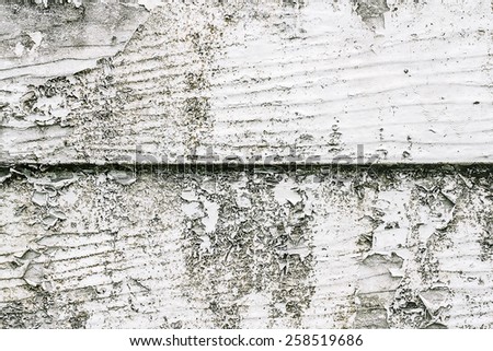 white wood texture with natural patterns,close up