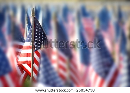 small american flags